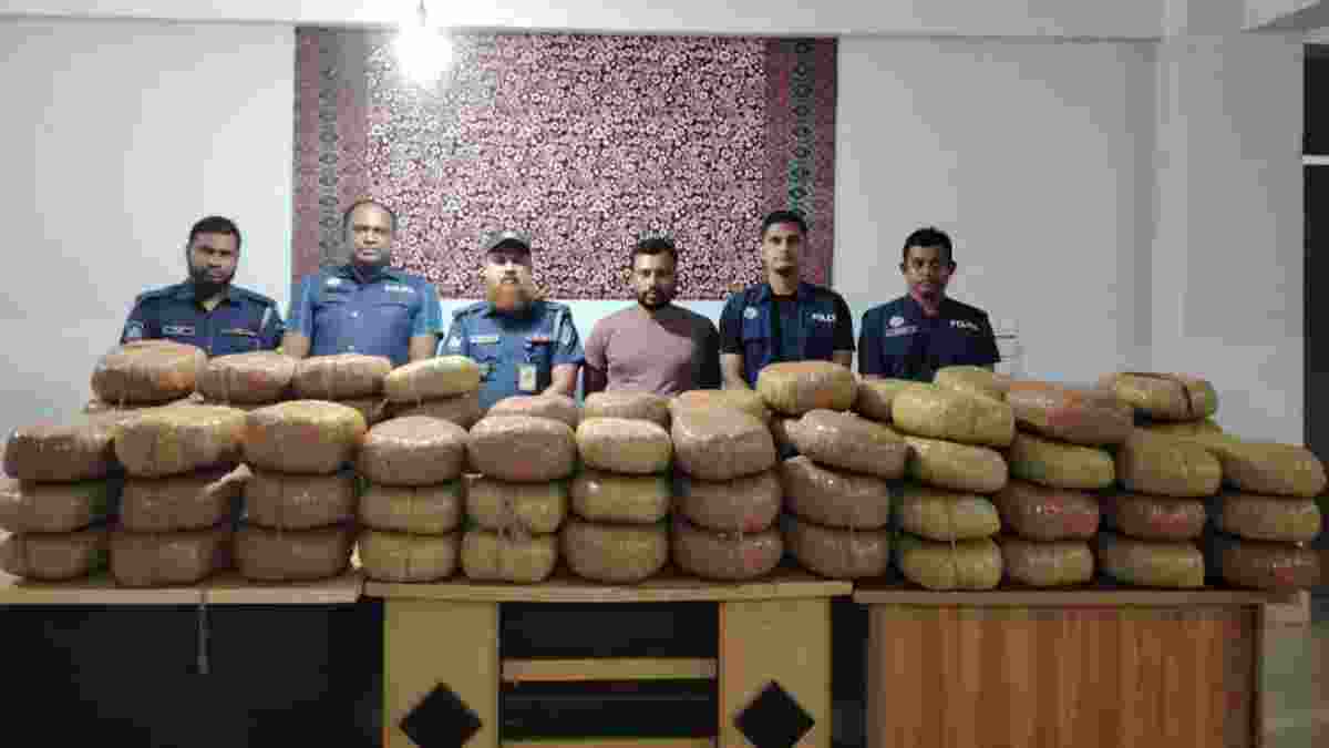 এক বাড়িতেই মিলল ২০৫ কেজি গাঁজা