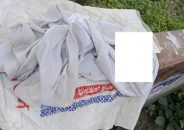 তেরখাদায় প্লাস্টিকের বস্তায় নবজাতকের মরদেহ উদ্ধার, এলাকায় শোক ও ক্ষোভ