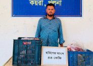 খুলনায় হরিণের মাংসসহ এক ব্যক্তি আটক
