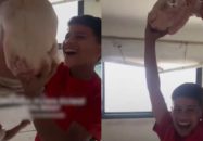 মুরগি! মুরগি!”— কয়েক মাস পর মাংস দেখে আনন্দে চিৎকার ফিলিস্তিনি শিশুদের