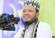 জামায়াত যুদ্ধের বিরুদ্ধে ছিল না, ছিল ভারতের বিরুদ্ধে : আমির হামজা