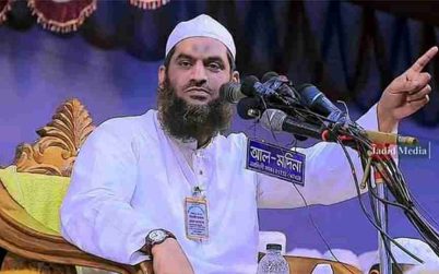সোনার বাংলাদেশ দেখা শেষ, এবার ইসলামের বাংলাদেশ চাই: মামুনুল হক