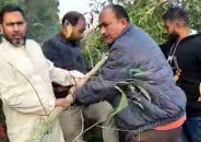 ঢাকা-ভাঙ্গা এক্সপ্রেসওয়েতে ব্যারিকেডের চেষ্টা, বিএনপির নেতৃত্বে অপসারণ