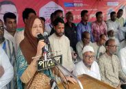 আমাকে আপনাদের ইলিয়াস আলীর প্রতিনিধি হিসেবে দেখবেন: রুশদী