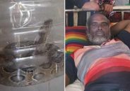 ধানখেতে কামড় খাওয়ার পর রাসেলস ভাইপার নিয়ে হাসপাতালে কৃষক