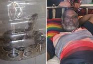 ধানখেতে কামড় খাওয়ার পর রাসেলস ভাইপার নিয়ে হাসপাতালে কৃষক