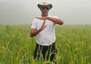 মনোনয়ন না পেয়ে ধানক্ষেতে ‘রিভিউ’ দেখালেন বিএনপি নেতা