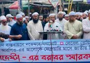 প্রয়োজনে নির্বাচন দুই মাস পরে করেন, কিন্তু গণভোট ছাড়া হবে না