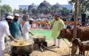 বাবরি মসজিদ’ নির্মাণ উপলক্ষে বিশাল আয়োজন করে ৪০ হাজার মানুষকে খাওনো হয়েছে বিরিয়ানি