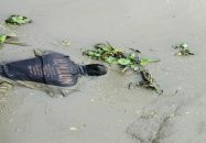 কপোতাক্ষ নদ থেকে নিখোঁজের পাঁচ দিন পর যুবকের মরদেহ উদ্ধার