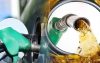 কমলো সব ধরনের জ্বালানি তেলের দাম