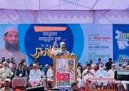 মামুনুল হক বিজয়ী হলে ঢাকা-১৩ আসনবাসী একজন সাহসী ও মর্যাদাবান অভিভাবক পাবে: জামায়াত আমির