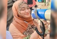 ফেনীতে জাতীয়তাবাদী মহিলা দল নেত্রীর ঝুলন্ত মরদেহ উদ্ধার