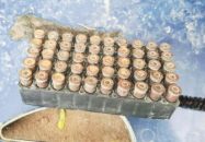 নাটোরে নদীতে মাছ ধরতে গিয়ে ৫০ রাউন্ড গুলি নিয়ে এলো ২ শিশু