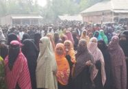 ব্যালট ছিনতাই, উদ্ধারের পর ইউএনও বললেন—‘কিছু ব্যালটে ধানের শীষের সিল