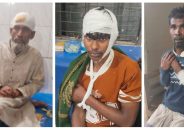 নিষিদ্ধ আওয়ামী লীগ নেতাদের হামলায় বিএনপির ৫ নেতাকর্মী আহত