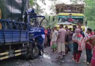 মাদারীপুরে পিকআপ-ট্রাক সংঘর্ষে দুই শিশুসহ আহত ৮