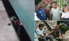 চলন্ত ট্রেন থেকে পড়ে গেলো শিশু, বাবাও দিলেন ঝাঁপ–উপর দিয়ে চলে গেল ৮ বগি