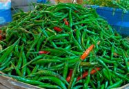 ভারত থেকে ২৮ টাকা কেজি দরে মরিচ আমদানি, বিক্রি ৩০০ টাকায়