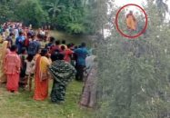 কুড়িগ্রামে রাতে নিখোঁজ গৃহবধূ, সকালে তেঁতুল গাছের মগডাল থেকে উদ্ধার