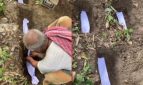 নড়াইলে এক মায়ের গর্ভে ৭ সন্তান; বাঁচানো গেল না একটিও
