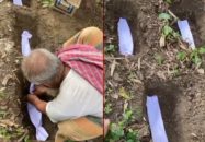 নড়াইলে এক মায়ের গর্ভে ৭ সন্তান; বাঁচানো গেল না একটিও