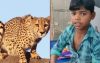 ভারতে খালি হাতেই চিতাবাঘকে হারাল ১৩ বছরের কিশোর!