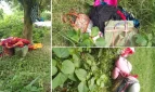 সীমান্তে দুই দিন অবস্থানের পর ৪৫ জন ‘নিখোঁজ’