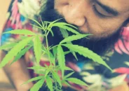 দেশে মোট গাঁজাখোর ৬১ লাখ