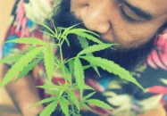 দেশে মোট গাঁজাখোর ৬১ লাখ