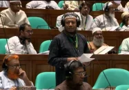লালন সাঁইয়ের মাজারে সংস্কৃতির নামে অনৈতিক কাজ চলে: সংসদে আমির হামজা