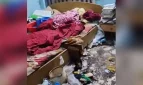 একা ঘরে মায়ের মরদেহে পচন, জানেনা সচিব ও বিশ্ববিদ্যালয়ের শিক্ষক ছেলেরা