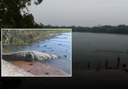 খান জাহান আলীর মাজারের দীঘিতে শিশুকে টেনে নিয়ে গেছে কুমির