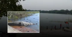 খান জাহান আলীর মাজারের দীঘিতে শিশুকে টেনে নিয়ে গেছে কুমির