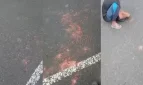 রাস্তার ওপর হাজার হাজার ইয়াবা, কুড়াতে হুমড়ি খেয়ে পড়ল মানুষ