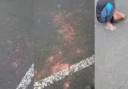 রাস্তার ওপর হাজার হাজার ইয়াবা, কুড়াতে হুমড়ি খেয়ে পড়ল মানুষ