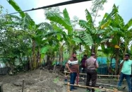 হত্যার পর যুবকের মরদেহ পোঁতা হয় বাড়ির উঠানে, গ্রেপ্তার ২