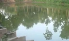 ছোট বোনকে বাঁচাতে গিয়ে পানিতে ডুবে মারা গেল বড় ভাইও