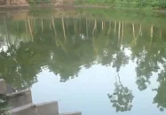 ছোট বোনকে বাঁচাতে গিয়ে পানিতে ডুবে মারা গেল বড় ভাইও