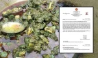 খুলনায় রান্নার সময় ‘মাংসের রং সবুজ’ হওয়ার কারণ মিলল ল্যাব রিপোর্টে