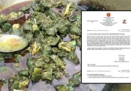 খুলনায় রান্নার সময় ‘মাংসের রং সবুজ’ হওয়ার কারণ মিলল ল্যাব রিপোর্টে
