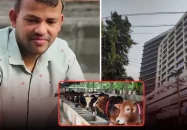 অগ্রণী ব্যাংকের ভল্ট থেকে ৪ কোটি টাকা সরিয়ে খামারে বিনিয়োগ, ক্যাশ ইনচার্জসহ গ্রেপ্তার ২