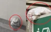 রাজধানীর দুই মেট্রো স্টেশনে ‘বোমা সদৃশ’ বস্তু, ঘিরে রেখেছে পুলিশ
