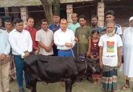 প্রতিমন্ত্রীর গাড়ির ধাক্কায় নিহত ফিরোজার পরিবারকে গাভী প্রদান