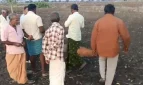 মায়ের রক্তাক্ত-নিথর দেহ আঁকড়ে ধরে কাঁদছিল দেড় বছরের শিশু