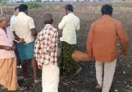 মায়ের রক্তাক্ত-নিথর দেহ আঁকড়ে ধরে কাঁদছিল দেড় বছরের শিশু