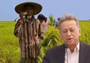 ১৪ লাখ কৃষকের সুদসহ কৃষিঋণ মওকুফ