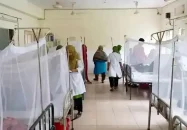 খুলনা বিভাগে এক দিনে রেকর্ড ৩৩৪ ডেঙ্গু রোগী হাসপাতালে ভর্তি